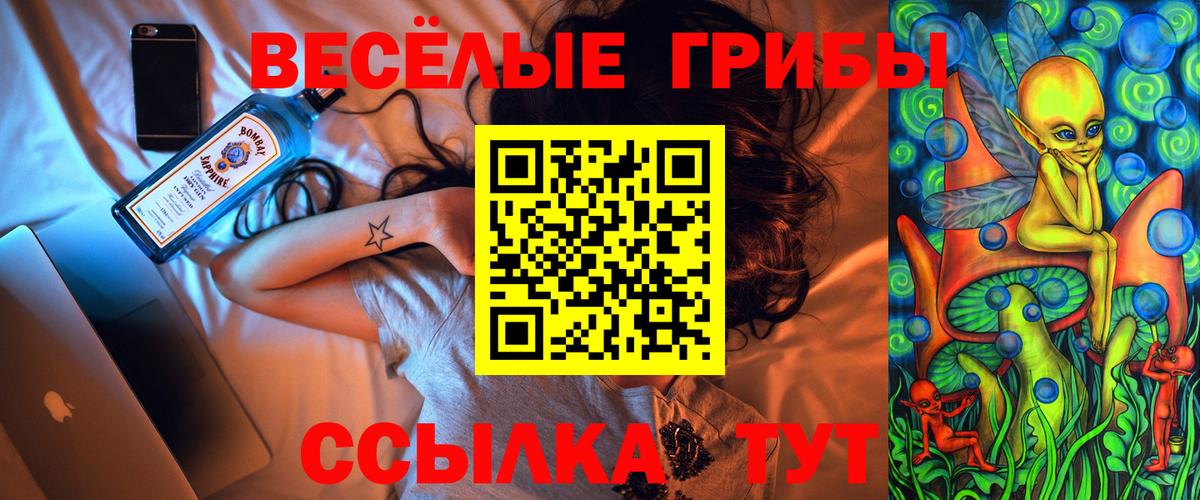 Псилоцибиновые грибы Cubensis Елизово