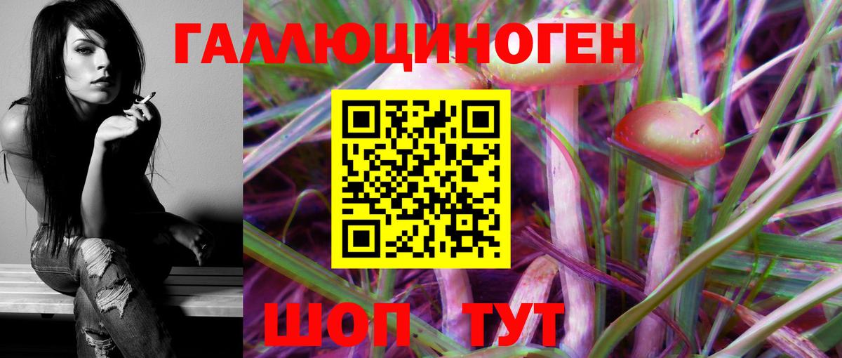 Псилоцибиновые грибы Psilocybe  Вход с VPN  Елизово  где можно купить наркотик  Псилоцибиновые грибы Psilocybe 